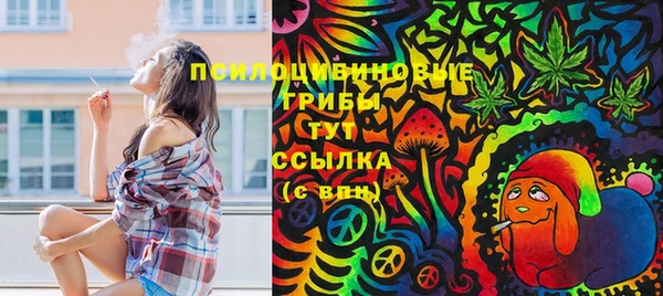 крисы Володарск